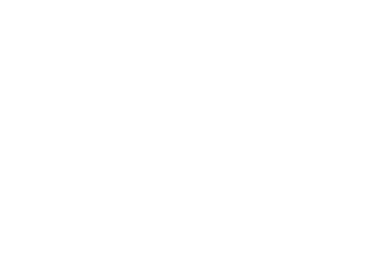 Partners de FinCloud
